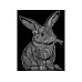 Tataruga Samtbild A4, Hase Tataruga Samtbild A4, Hase