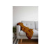 Night Fashion Decke Sole 210 x 150 cm, Terracotta
