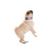 Doog Halsband Gromit XS Blau / Weiss / Rot
