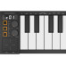 Carry-on by Blackstar Keyboard Controller Folding Controller 49 Schwarz