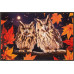 wash+dry Fussmatte Night Owls 50 cm x 75 cm
