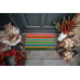 Hanse Home Fussmatte Colorful Stripes 45 x 75 cm