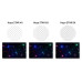 Kenko Objektivfilter Star 4X – 72 mm Kenko Objektivfilter Star 4X – 72 mm