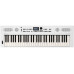 Roland Keyboard GO:KEYS 5 Weiss Roland Keyboard GO:KEYS 5 Weiss