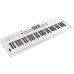 Roland Keyboard GO:KEYS 5 Weiss Roland Keyboard GO:KEYS 5 Weiss