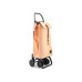 Rolser Einkaufstrolley  I-Max MF 4 Ginger