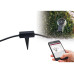 Paulmann Controller Plug & Shine Zigbee IP68 24 V DC Paulmann Controller Plug & Shine Zigbee IP68 24 V DC