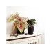 Fyta Tropfer-Set 1 Beam + Wi-Fi Hub