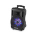 Fenton Lautsprecher FT10LED Aktiv Trolley-Speaker