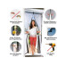 EASYmaxx Fliegengitter Magic Click, 90x210 cm