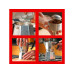 Bialetti Espressokocher Moka Express 1 Tassen, Rot