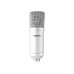 Vonyx Kondensatormikrofon CMS300S Studio-Set Silber Vonyx Kondensatormikrofon CMS300S Studio-Set Silber