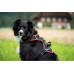 Grossenbacher Geschirr Vary, Orange Grossenbacher Geschirr Vary, Orange