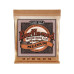 Ernie Ball Gitarrensaiten 2144 Earthwood PB – Medium 13-56