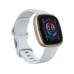 Fitbit Sense 2 Smartwatch Hellblau/Gold