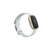 Fitbit Sense 2 Smartwatch Hellblau/Gold