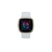 Fitbit Sense 2 Smartwatch Hellblau/Gold