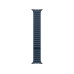 Apple Magnetic Link 45 mm Pacific Blue M/L