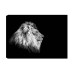 Wallxpert Bild Löwe 50 x 70 cm