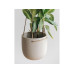 Esmée Blumentopf zum Hängen 18 cm, Beige