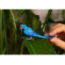 Schleich Spielzeugfigur Wild Life Hyazinth Ara