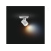 Philips Hue White Ambiance Runner Spot inkl. Dimmschalter Weiss Philips Hue White Ambiance Runner Spot inkl. Dimmschalter Weiss