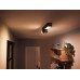 Philips Hue White & Color Ambiance Centris 2-Deckenspot Schwarz