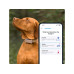 tractive GPS-Tracker DOG 6 Braun