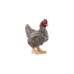 Schleich Spielzeugfigur Farm World Plymouth Rock Huhn