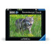 Ravensburger Puzzle Wolf im Natur- und Tierpark Goldau