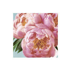 Paper + Design Papierservietten Pink Peony 24 cm x 24 cm, 20 Stück Paper + Design Papierservietten Pink Peony 24 cm x 24 cm, 20 Stück