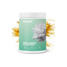 Brandl-Nutrition Pulver Kollagen Neutral 550 g