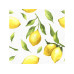 Paper + Design Papierservietten Citrus 33 cm x 33 cm, 20 Stück