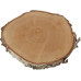 Opiflor Holzscheiben rund, 20-30 cm x 3.5 cm