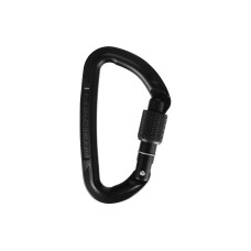 Wild Country Carabiner Session Screw Gate Schwarz