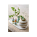 Bloomingville Windlicht Safie 2er-Set, 4.5 cm/5.5 cm, Steingut, Grün