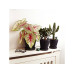 Fyta Tropfer-Set 10 Beams + Wi-Fi Hub