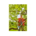 GARDENA Astschere TeleCut pro L GARDENA Astschere TeleCut pro L