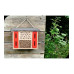 Windhager Insektenhotel Flat