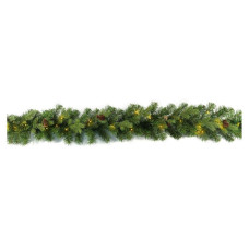 Dameco Girlande 30 LEDs, 1.8 m, Grün