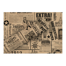 Braun + Company Geschenkpapier By Nature News 2 m x 70 cm, Braun/Schwarz