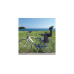 Ok Baby Fahrradkindersitz Body Guard Schwarz