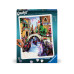 Ravensburger Malen nach Zahlen CreArt Beautiful Venice