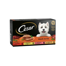 Cesar Nassfutter Klassik-Terrine Schale 4 x 150 g