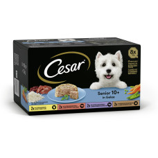 Cesar Schale Senior Multipack in Gelee, 8 x 150 g