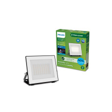 Philips Lois Flutlicht UE 14W 5000K IP65 anthrazit 14 W