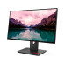 Lenovo Monitor T24-40