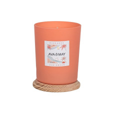 AVA & MAY Duftkerze Barbados 180 g