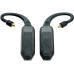 iFi Audio Wireless In-Ear-Kopfhörer GO pod Air Schwarz