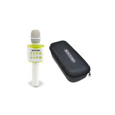 Bontempi Musikinstrument Karaoke Mikrofon mit Etui